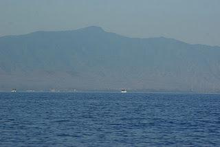 Swimming with Dolphins at Lovina