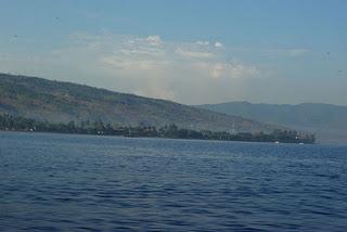 Swimming with Dolphins at Lovina