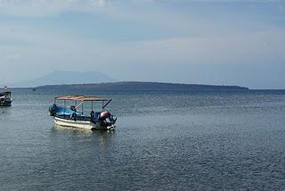 Swimming with Dolphins at Lovina