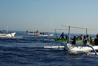 Swimming with Dolphins at Lovina