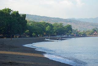 Swimming with Dolphins at Lovina