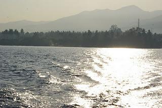 Swimming with Dolphins at Lovina