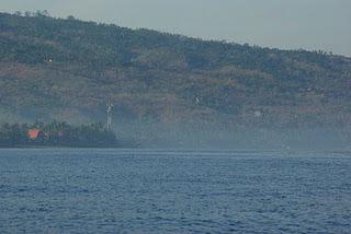 Swimming with Dolphins at Lovina