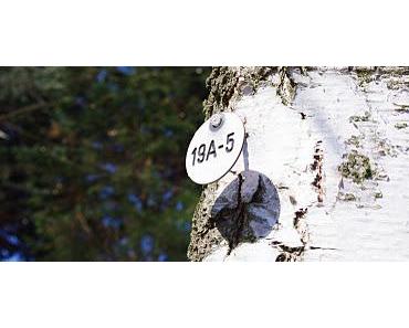 wallpaper-1689754