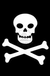 Die nächste Verräterpartei: die Piratenpartei