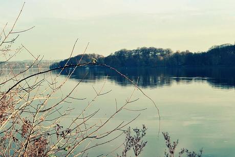 Der Herbst von seiner schönsten Seite.