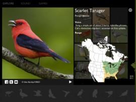 NatureTap – und Sie erhalten brillante Vogel-, Insekten- und Spinnen-Fotos auf Ihr iPad