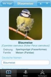 Vögel am Futterhaus – auf dem iPhone, iPod touch und Sie wissen, wie Sie Ihnen über den Winter helfen können