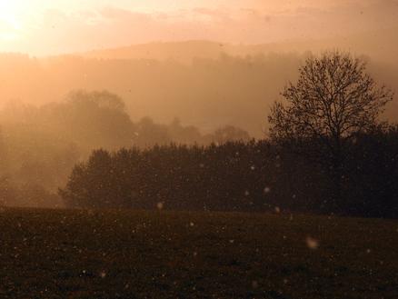 es treibt der Wind…