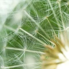 wallpaper-1689754