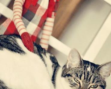 16. Dezember -  von guten Beziehungen