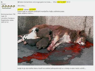 Vermeintliche Hundetötungen in der Ukraine als Propaganda enttarnt