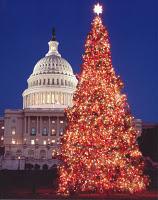 Deutsche brachten Weihnachtsbaum nach Amerika