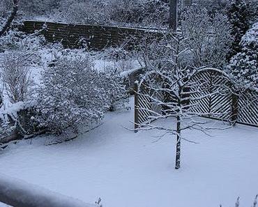 ♥ Er ist endlich da ♥