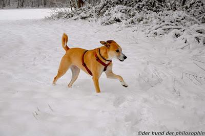 Schnee von gestern