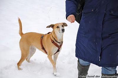 Schnee von gestern