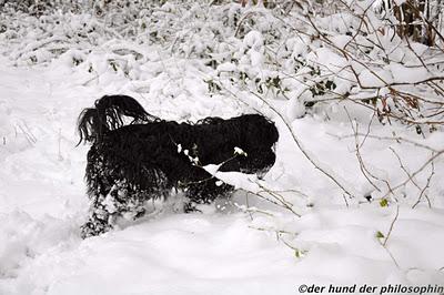 Schnee von gestern