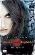 Richelle Mead - Vampire Academy