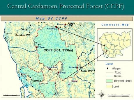 Cambodia: Illegal Logging in the Wild West.