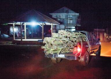 Cambodia: Illegal Logging in the Wild West.