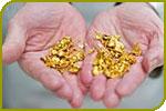 Goldsuche im Rhein lohnt sich immer mehr