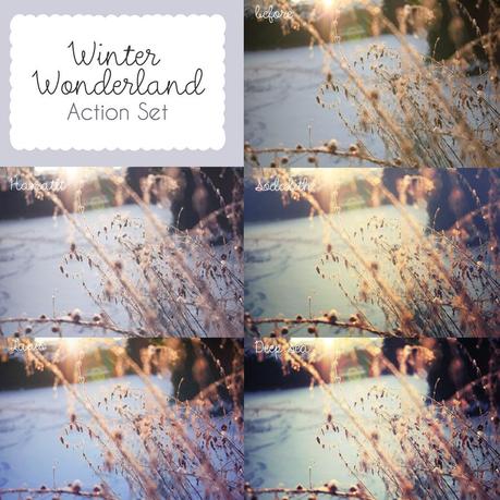 Winter Wonderland Action Set