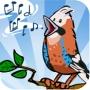Vogelstimmenquiz – Kennst du unsere einheimischen Singvögel?
