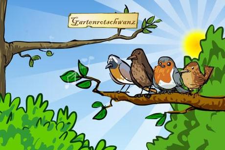 Vogelstimmenquiz – Kennst du unsere einheimischen Singvögel?
