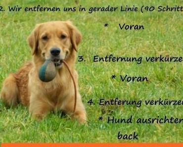 Es geht ….
