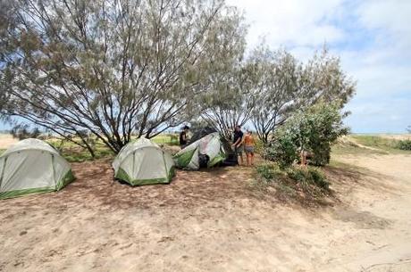 Campen auf Fraser Island – Teil 2