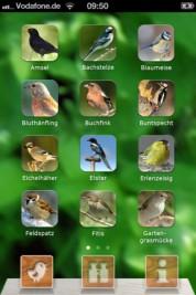 Gartenvögel – auf dem iPhone und Sie erfahren wer da seine Arien in Ihrem Garten schmettert