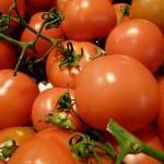 Christian Wulf – Mediathek