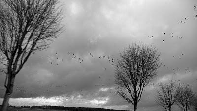 Brandenburg Grey Sky