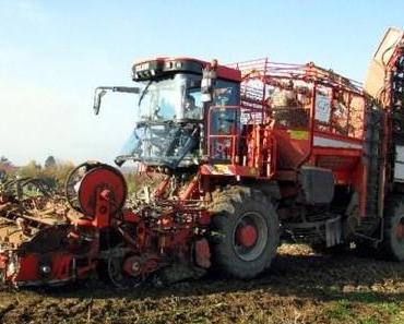 Die USA treiben Europa vor sich her