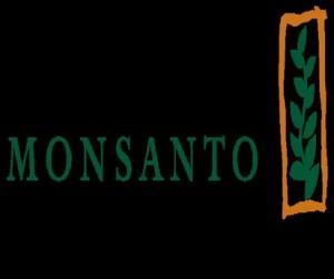 Bill Gates setzt auf Monsanto