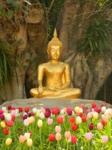 Buddha im Tulpenbeet