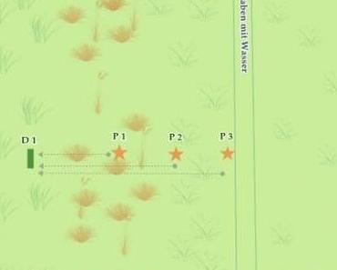 Ein Geburtstagstraining