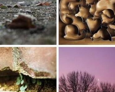 one pic a day und Wochenfunde III