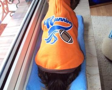 Pascha … Ist er nicht chic? ;-)