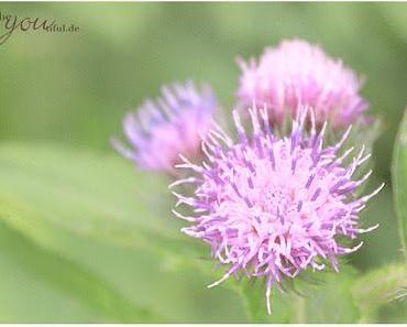 Gut Duften und gut Aussehen auf Kosten der Gesundheit?