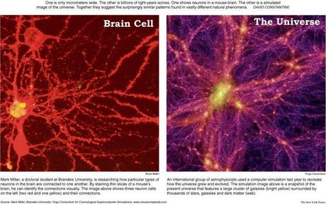 Universum vs. Gehirnzelle