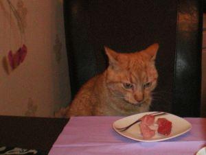 “Sonntags-(Schnapp)-Schuss“ – Blogparade – Nr. 5 ;-)