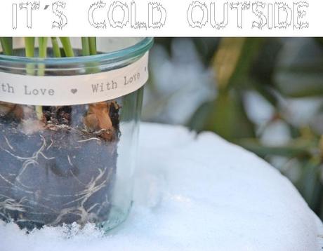 it´s cold outside- Winterbilder !?!