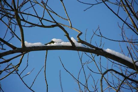 let ist snow - Schnee