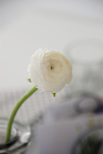 flowers -   Ranunkeln in neuer Vase