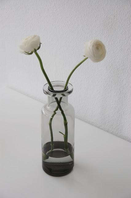 flowers -   Ranunkeln in neuer Vase