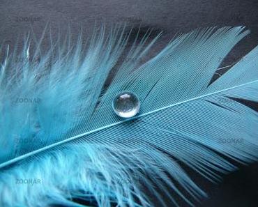 wallpaper-1689754