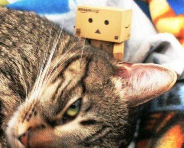 der, der aus japan kam