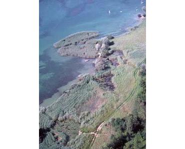 Widmer macht wieder einmal ein Seeufer