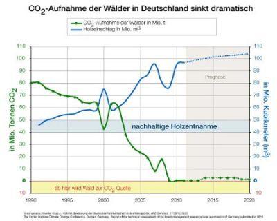 CO2 Aufnahme der Wald Quelle: Greenpeace